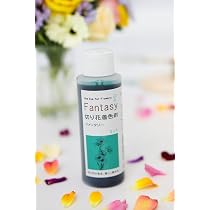 Amazon.co.jp: 切花用着色剤 ファンタジー ミント 100ml : ホーム
